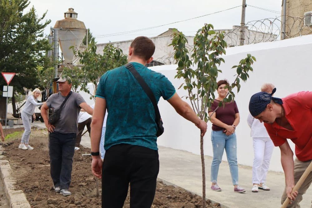 У Миколаєві з'явилась Алея руху: працівники КП "Миколаївелектротранс" висадили сакури до Дня міста 