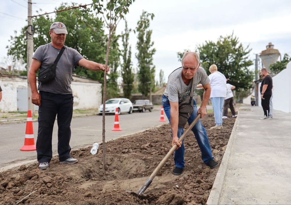 У Миколаєві з'явилась Алея руху: працівники КП "Миколаївелектротранс" висадили сакури до Дня міста 