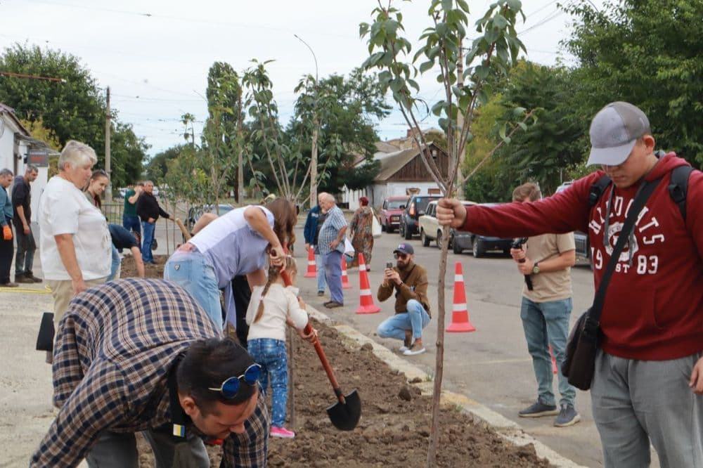 У Миколаєві з'явилась Алея руху: працівники КП "Миколаївелектротранс" висадили сакури до Дня міста