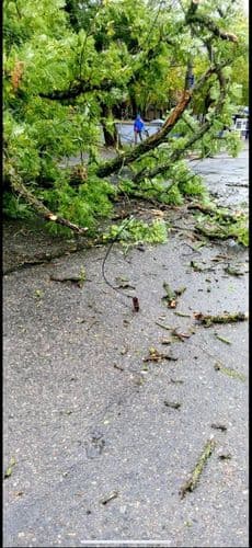 фото новин кп ммр миколаївелектротранс