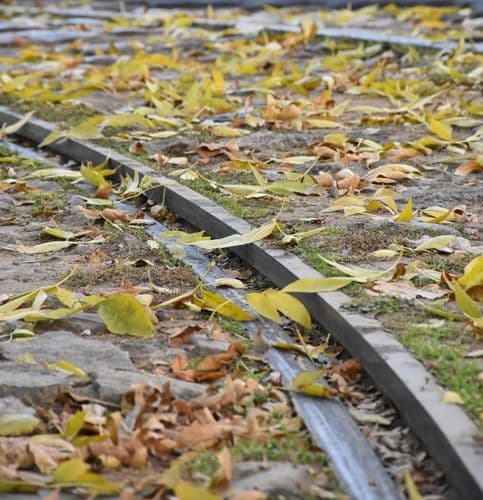 фото новин кп ммр миколаївелектротранс